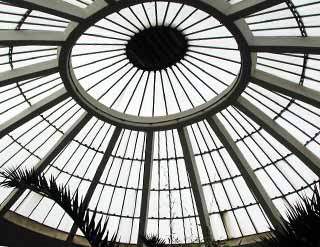elephant house roof