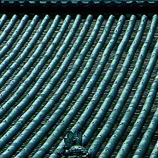 kyoto temple roof