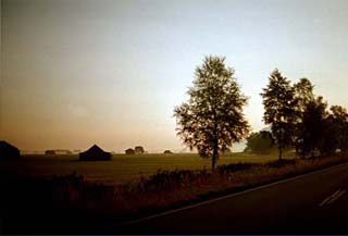 autumn dust in the morning