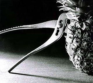 pineapple bitten by a pair of pliers
