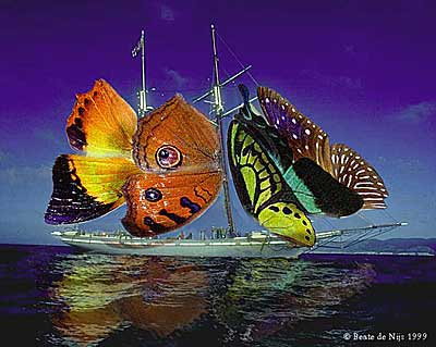 butterflyboat