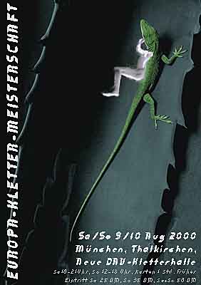 lizard climbing