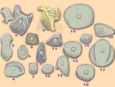 climbing grips