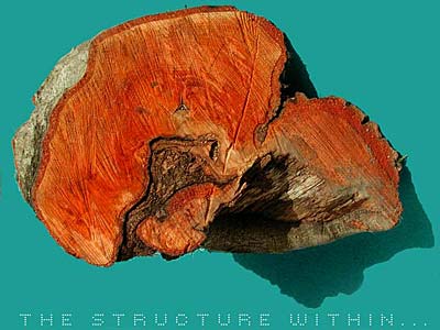 structurewithin...