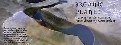 organic planet