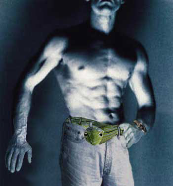 snakebelt