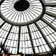 elephant house roof