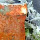 rustycan