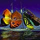 butterflyboat