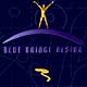 webdesign de nijs own sites - blue bridge design III 2000-2001