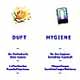 Webdesign - Zeder Animationen