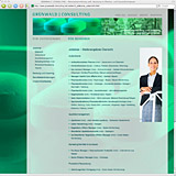 Website Screenshot 3 - Kunde - Gr&uuml;nwald Consulting