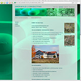Website Screenshot 7 - Kunde - Gr&uuml;nwald Consulting