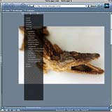 Website Screenshot 1 - Own Sites - Photogallery 2000