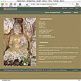 Website Screenshot 10 - Kunden - Shojibau