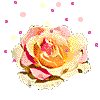 screenshots von gif und dhtml animationen