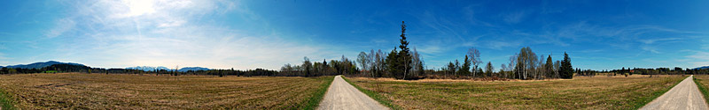 Ellenrieder Moor, Germany -  panorama - click to open it in a new window
