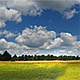 Heath Landscape, Fr&ouml;ttmaninger Heide, Munich