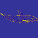 dolphin in the deep blue sea