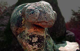chameleon shaped bizarre rock in Fontainebleau