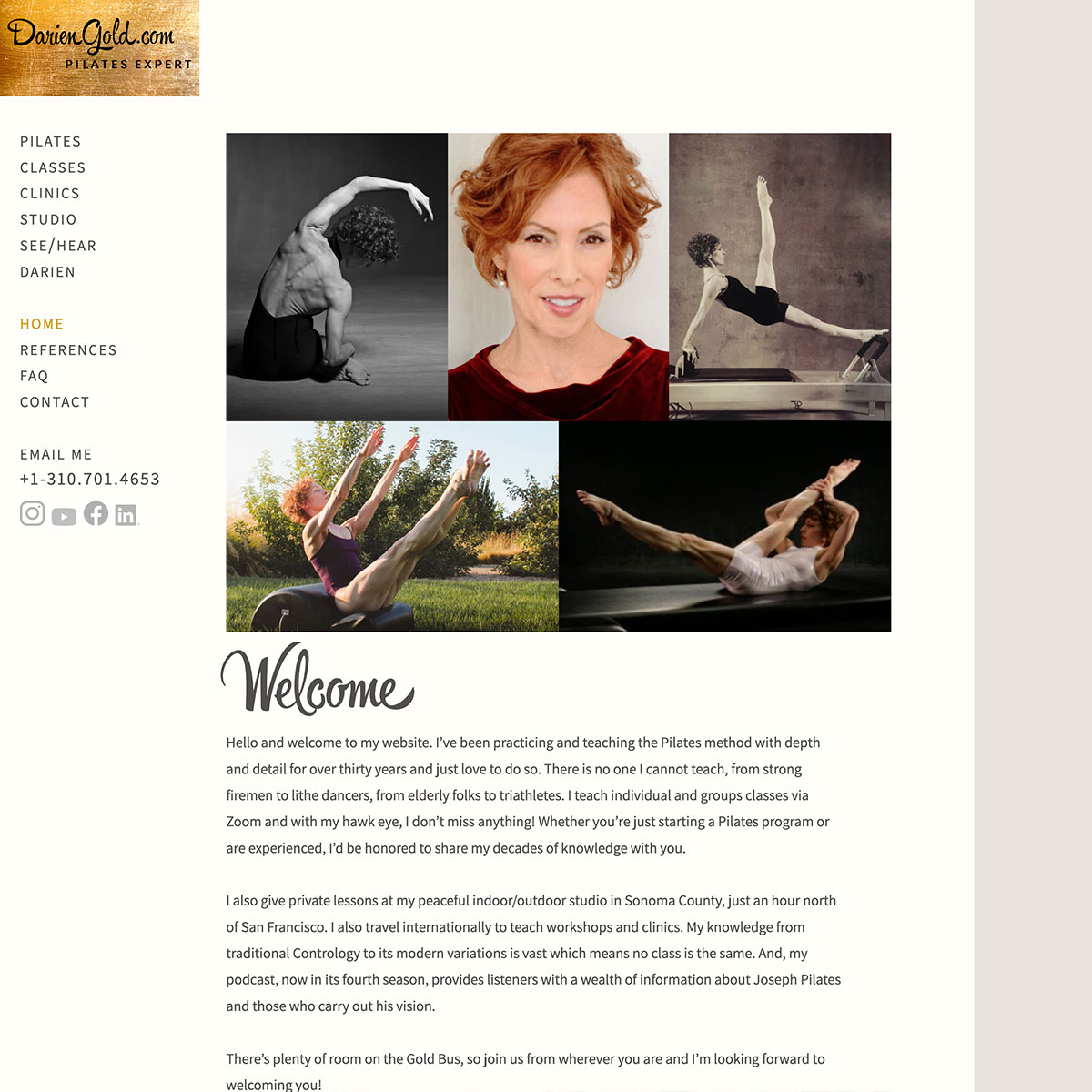 DARIEN GOLD - Pilates Expert - California, USA LOGO