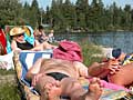 sweet slumbers in the late summer sun at a lazy lake in Bavaria, Kirchsee