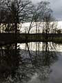 pond reflections, dark tree silhouettes