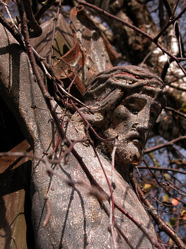 Grown together - branches and thorns - tree near Thanning/Aufhofen - 20km south of Munich © Beate de Nijs